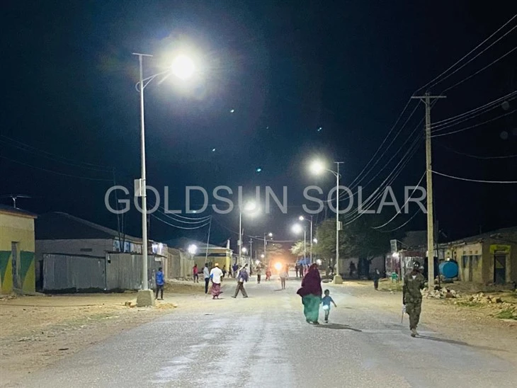Single Arm Solar Street Light suppliers